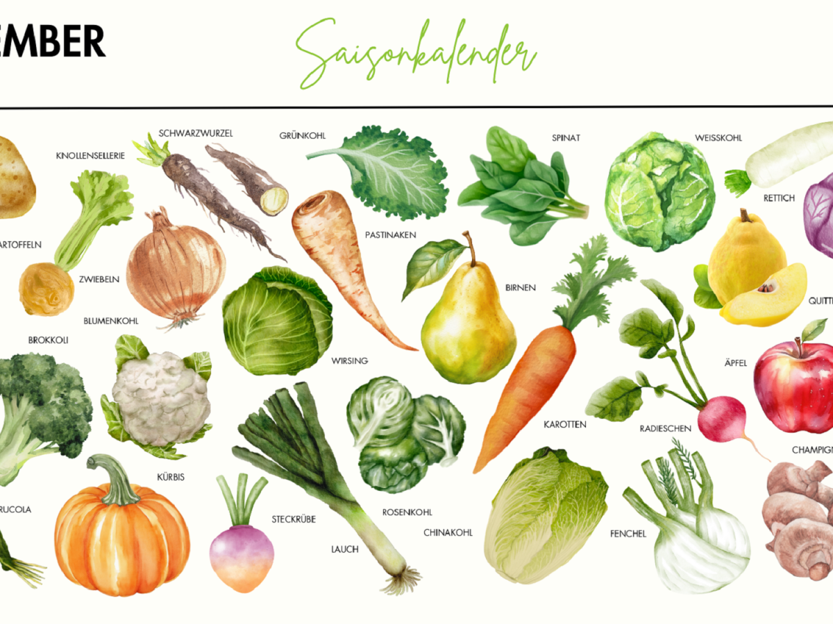 Saisonkalender November: Welches Obst und Gemüse hat jetzt Saison?