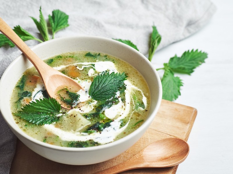 Bärlauch-Brennnessel-Suppe in einer Schüssel, garniert mit Sahne und Brennnessel-Blättern.