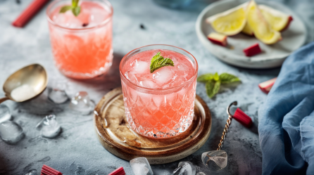 Zwei Gläser Wodka Sour mit Rhabarbersirup stehen auf einem Tisch. Sie sind umgeben von schmelzenden Eiswürfeln und Rhabarberstücken. Rechts im Bild ist noch ein Teller mit Zitronenspalten.