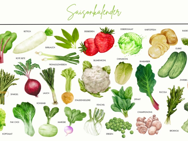 Saisonkalender Mai