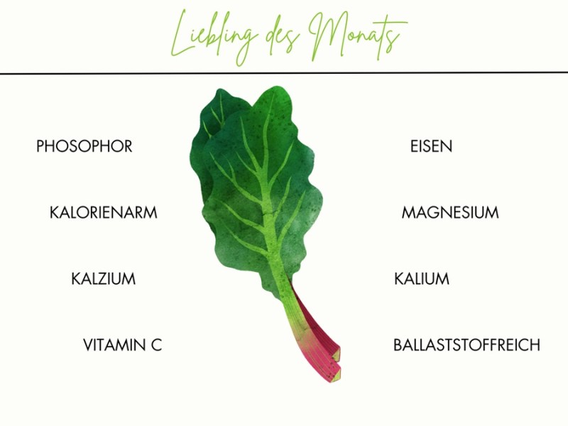 Warenkunde Rhabarber