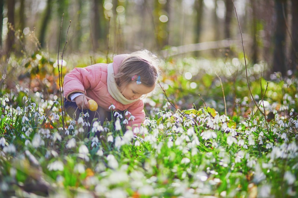 Warum gibt es Ostereier? Ein Mädchen auf Ostereiersuche.