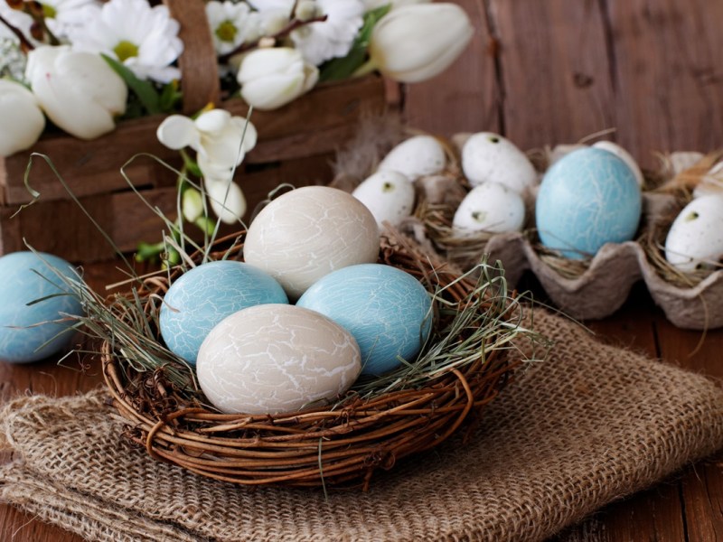Wie lange sind gekochte Eier haltbar? Ein Osternest mit gefärbten Eiern.