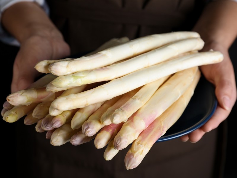 Kann man bitteren Spargel essen? Eine Frau hält mehrere Stangen weißen Spargel.