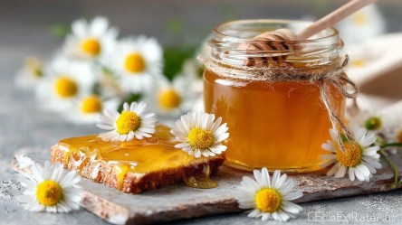 Ein Glas Gänseblümchen-Gelee, indem ein Honiglöffel steckt. Ringsum liegen Gänseblümchen verteilt genauso wie eine Scheibe Brot mit Gänseblümchen-Gelee.
