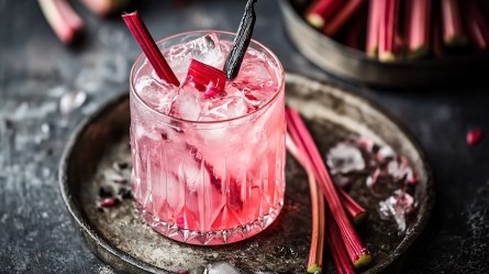 Glas Rhabarber Gin Tonic auf einem Tablett