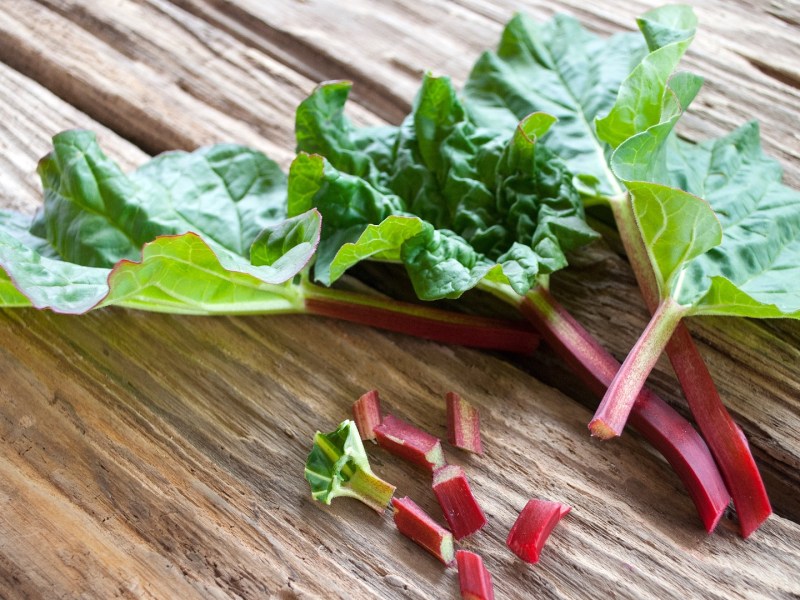 Sind Rhabarberblätter essbar: einige Stängel Rhabarber mit Blättern.