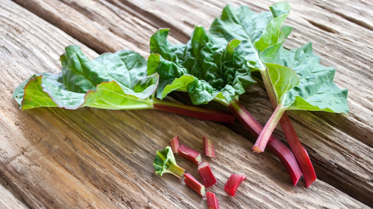 Sind Rhabarberblätter essbar: einige Stängel Rhabarber mit Blättern.