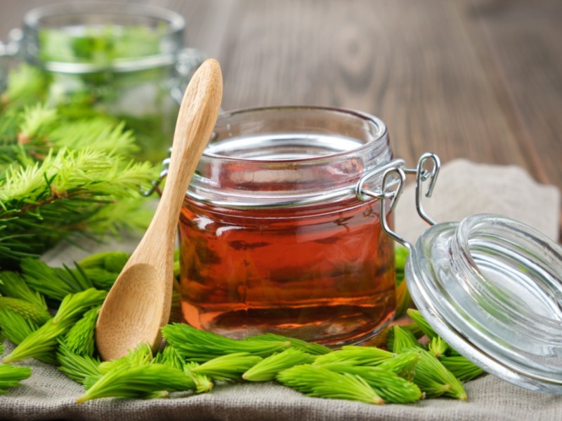 Ein Glas Tannenspitzen-Sirup. Daneben ein Holzlöffel und Tannenspitzen.