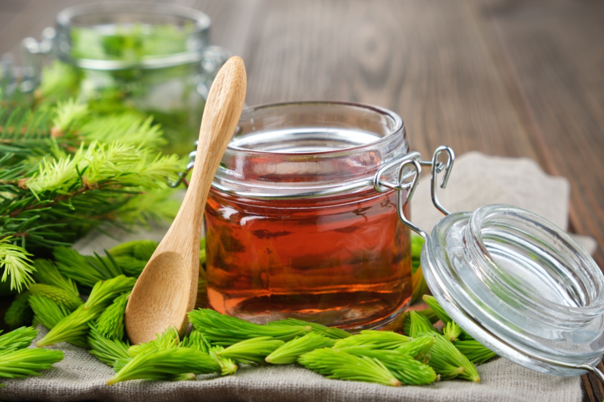 Ein Glas Tannenspitzen-Sirup. Daneben ein Holzlöffel und Tannenspitzen.