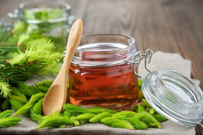 Ein Glas Tannenspitzen-Sirup. Daneben ein Holzlöffel und Tannenspitzen.