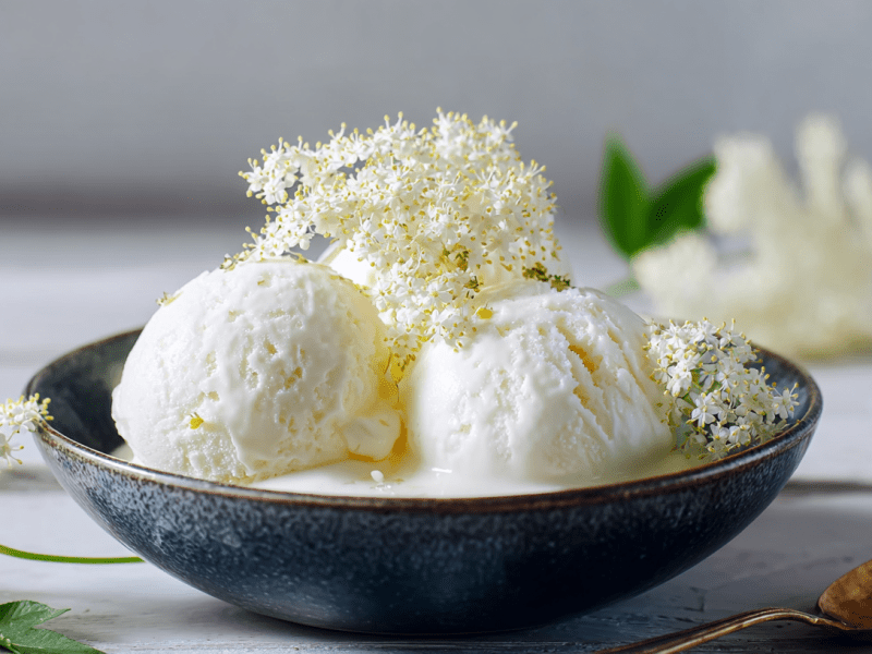 Eine Schale mit drei Kugeln Holunderblüten-Eis, dekoriert mit einigen Holunderblüten.