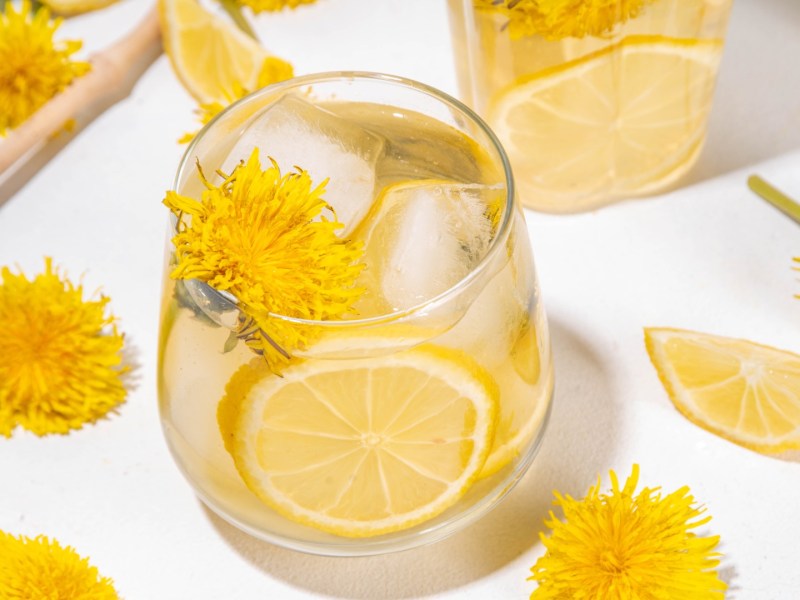 Ein Glas Löwenzahnlimonade mit Zitronenscheiben und Eiswürfeln.