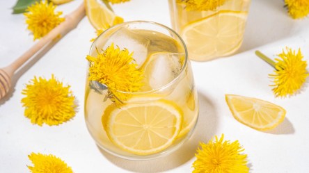 Ein Glas Löwenzahnlimonade mit Zitronenscheiben und Eiswürfeln.