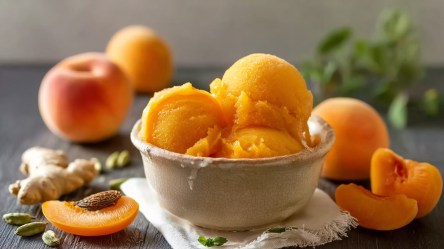 Eine kleine Keramikschale mit ein paar Kugeln Aprikosen-Sorbet. Drum herum liegen einige frische Aprikosen, ein paar Aprikosenstücke sowie frischer Ingwer und einige Kardamomkapseln. Die Schale steht auf einem kleinen Stoffuntersetzer.