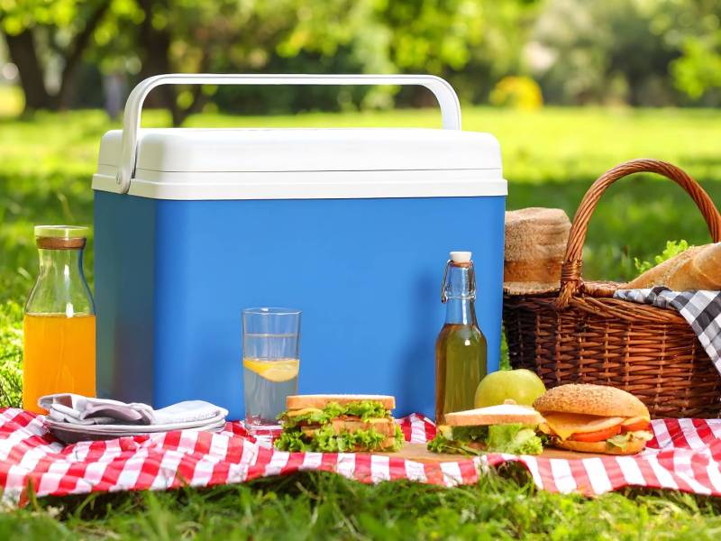 Eine Kühlbox, die auf einer Picknickdecke im Grünen steht. Daneben steht ein Picknickkorb. Snack und Getränke liegen auf der Decke.
