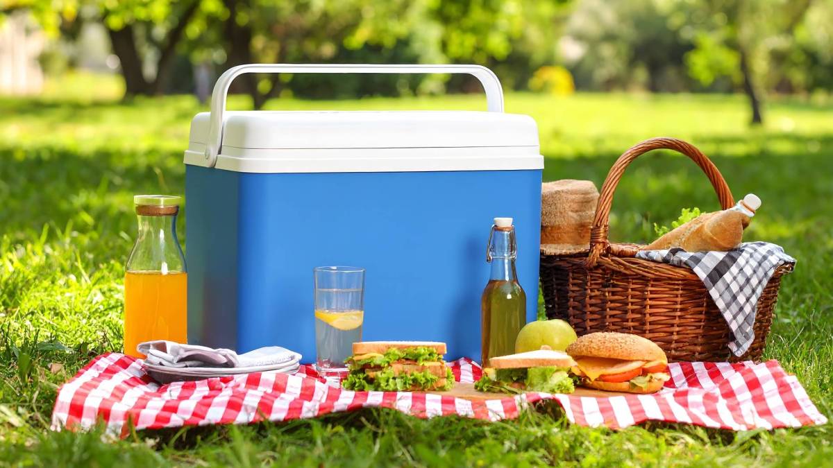 Eine Kühlbox, die auf einer Picknickdecke im Grünen steht. Daneben steht ein Picknickkorb. Snack und Getränke liegen auf der Decke.