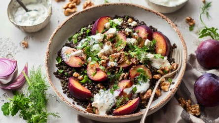 Ein Teller mit Linsensalat mit Pflaumen und Feta, der mit einer Joghurt-Dill-Dressing und frischen gehackten Kräutern garniert ist. Um den Teller herum liegen frische Pflaumen, rote Zwiebelstücke, frische Kräuter und einige Walnüsse verteilt.