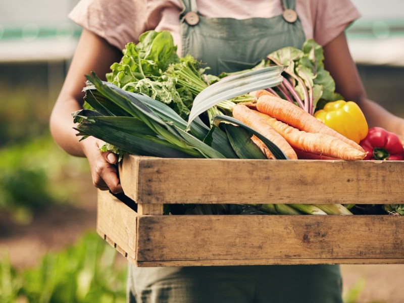 Vergessene Gemüsesorten: Eine Person hält einen Korb mit Gemüse vor sich.