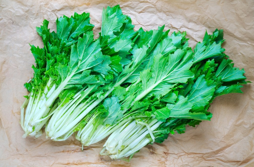 Vergessene Gemüsesorten: Stielmus. 