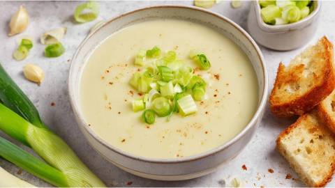 Schale mit Vichyssoise, geröstetes Brot daneben