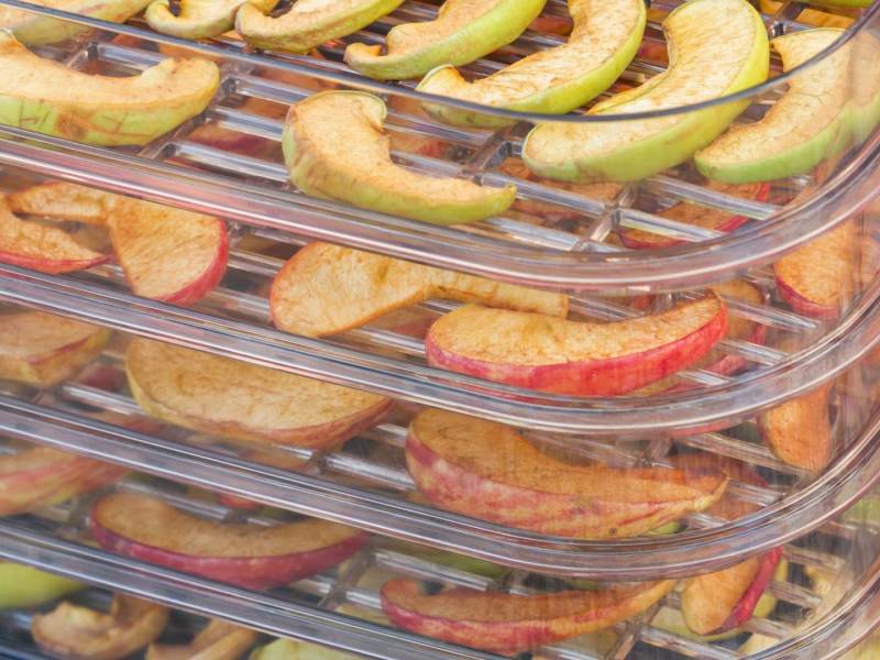 Einige Etagen eines Dörrautomaten.