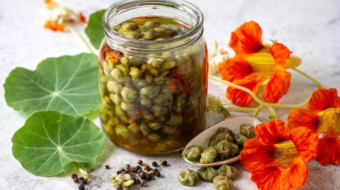 Ein Glas mit Kapuzinerkresse-Kapern, daneben Blüten und Blätter der Kapuzinerkresse.