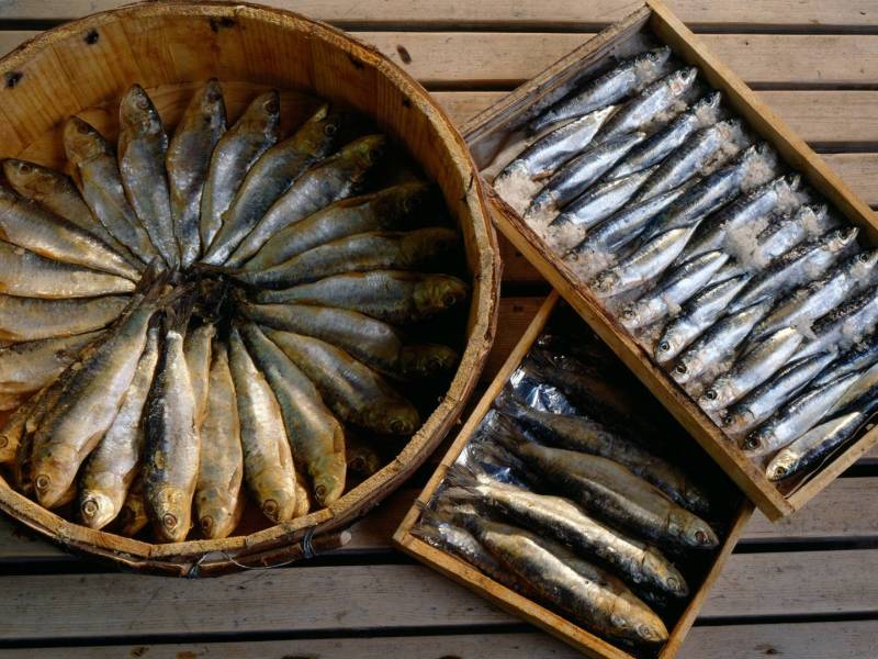 Sardinen und Sardellen, die in Holzkisten angerichtet sind.