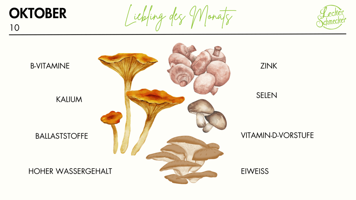 Warenkunde Pilze, Bild mit vier verschiedenen Pilzsorten