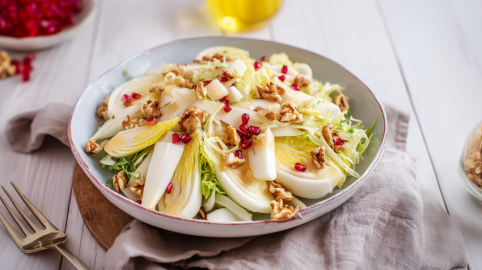 Eine Schale Chicoréesalat mit Apfel auf einem grauen Küchentuch. Links davon liegt eine Gabel. Im Hintergrund links sieht man einige Granatapfelkerne.