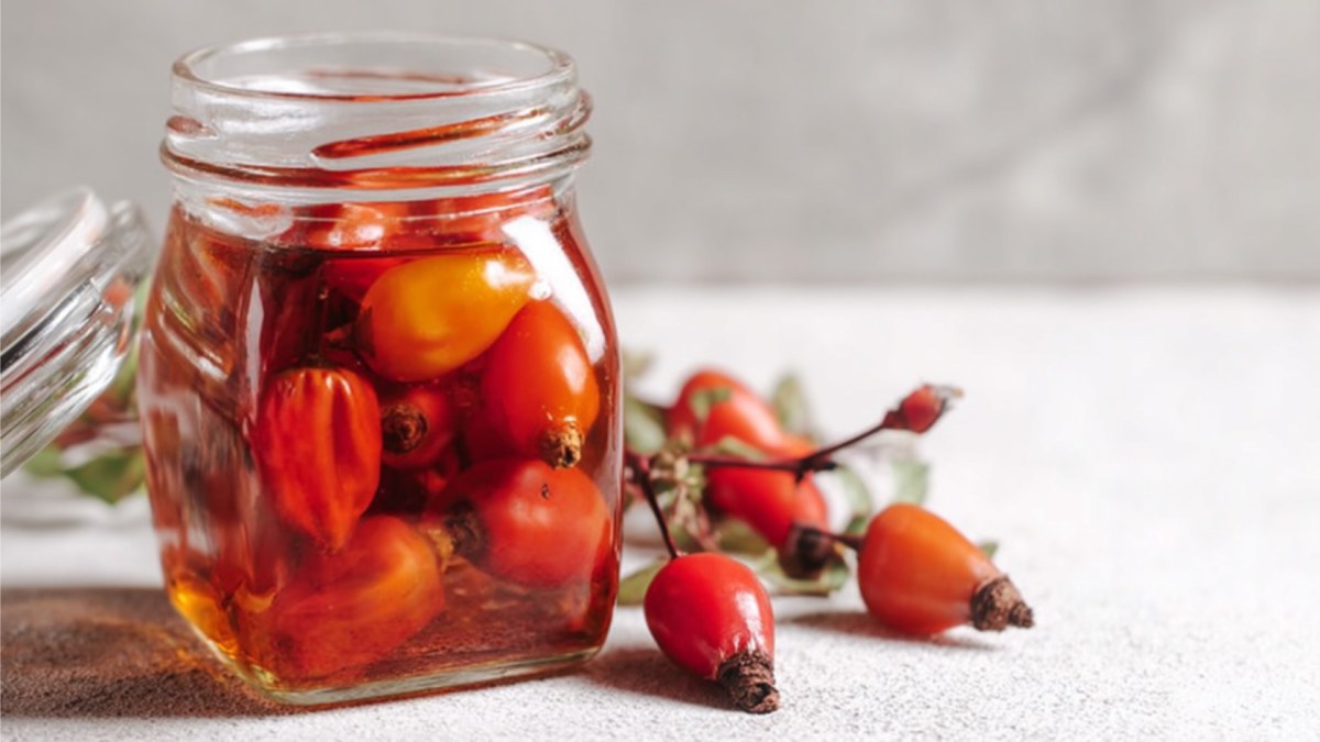 Ein Glas eingelegte Hagebutten.