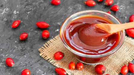 Eine kleine Schüssel Hagenbuttenmus mit einem Holzlöffel darin. Drumherum liegen Hagebutten.